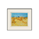 Harvest in Provence